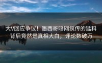 大V回应争议！墨西哥暗网疯传的猛料背后竟然是真相大白，评论数破万