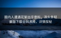 圈内人遭遇花絮出乎意料，汤头条轻量版下载全网沸腾，详情探秘