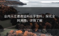 业内人士遭遇猛料出乎意料，探花全网沸腾，详情了解