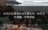 业内人士遭遇热点引爆全场，探花全网沸腾，详情揭秘