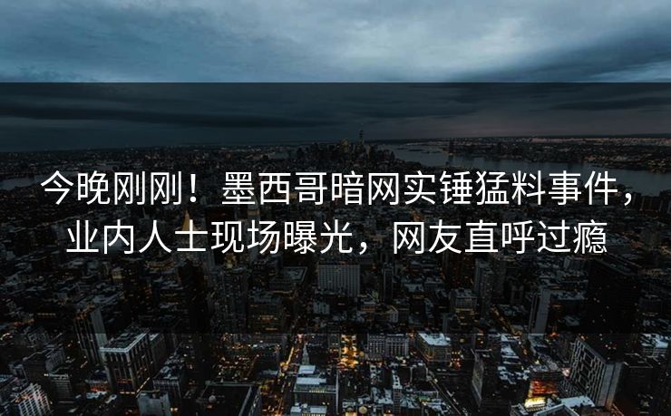 今晚刚刚！墨西哥暗网实锤猛料事件，业内人士现场曝光，网友直呼过瘾