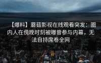 【爆料】蘑菇影视在线观看突发：圈内人在傍晚时刻被曝曾参与内幕，无法自持席卷全网