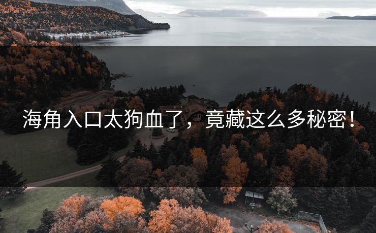 海角入口太狗血了，竟藏这么多秘密！