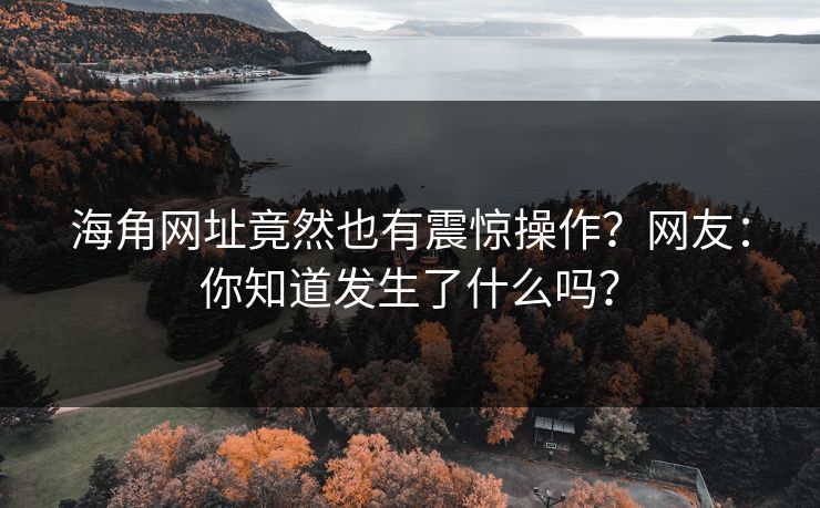 海角网址竟然也有震惊操作？网友：你知道发生了什么吗？