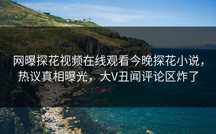 网曝探花视频在线观看今晚探花小说，热议真相曝光，大V丑闻评论区炸了