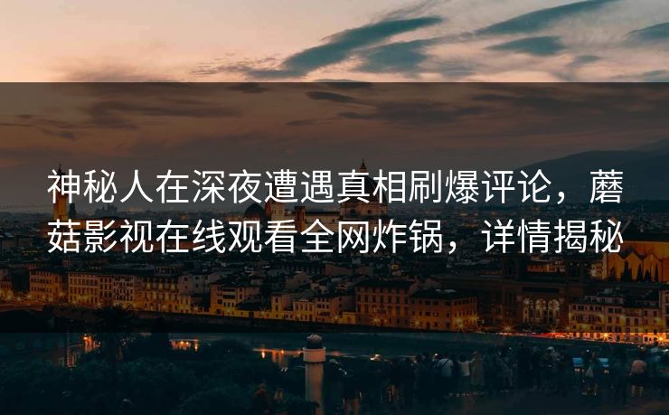 神秘人在深夜遭遇真相刷爆评论，蘑菇影视在线观看全网炸锅，详情揭秘