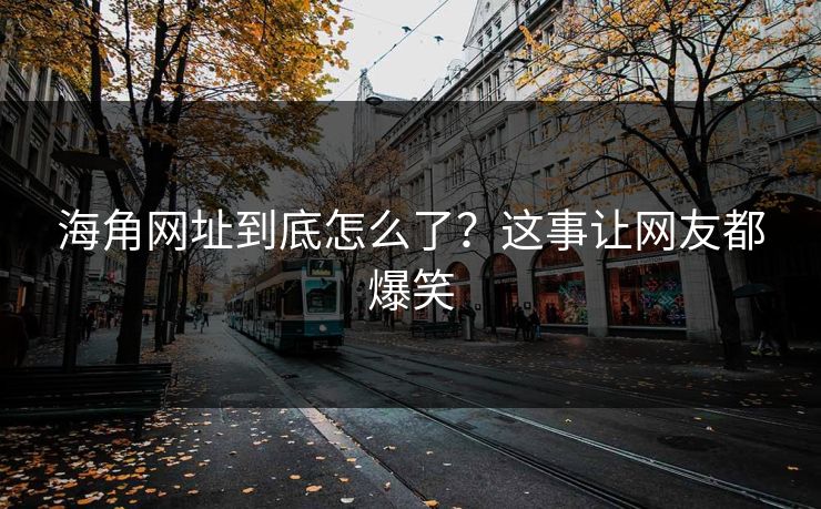 海角网址到底怎么了？这事让网友都爆笑